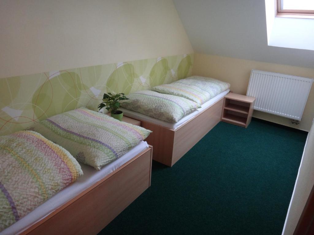 Penzion U Bednaru Pavlov Chambre photo