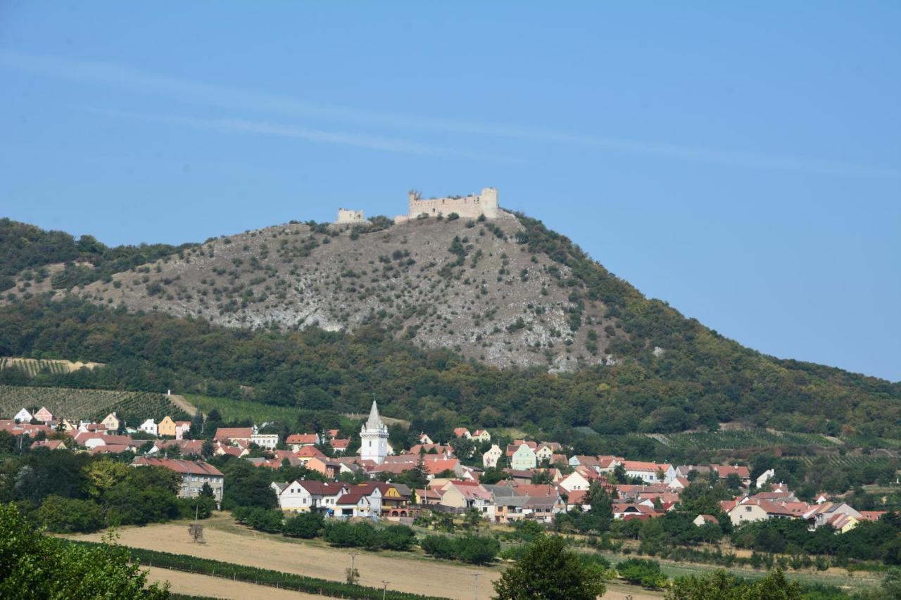 Penzion U Bednaru Pavlov Extérieur photo